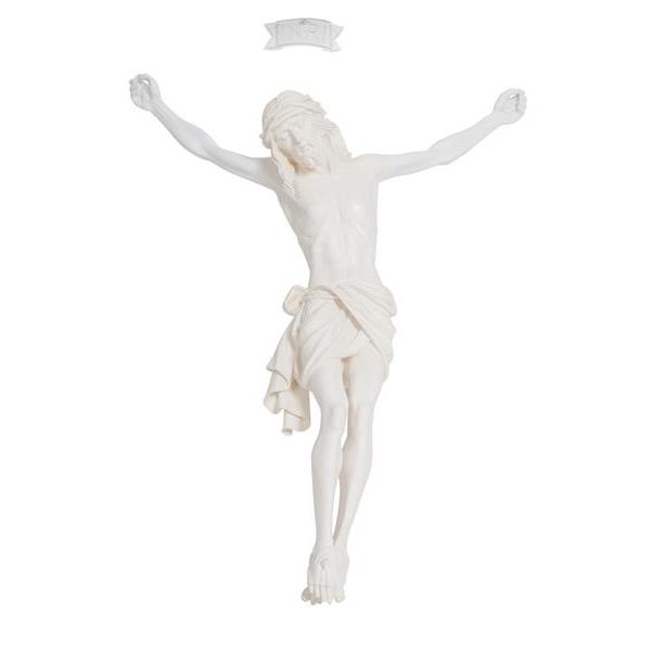 Corpus Siena fiberglass